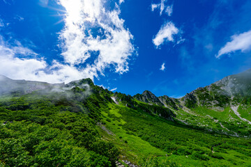 8月の千畳敷カールの風景