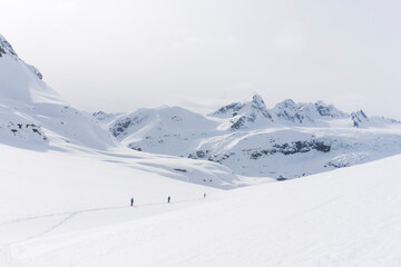 Skiers enjoy a backcountry tour in the Northern Rockies of British Columbia, Canada.