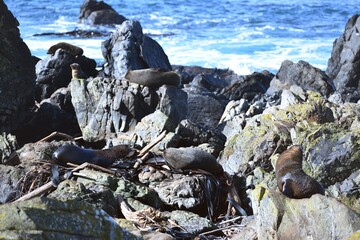 Becareful those rocks move