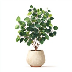 A potted houseplant with vibrant green leaves, bringing a touch of nature indoors
