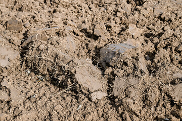 Agriculture en automne charrue