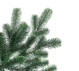 Branch of artificial fir tree isolated on white. Christmas decor