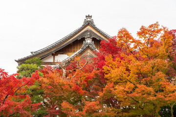 禅林寺（永観堂）の紅葉と屋根