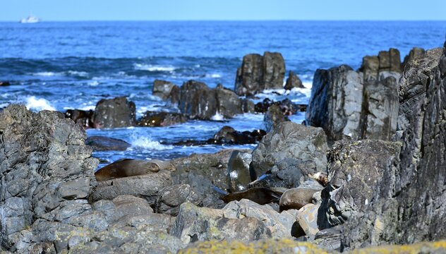 Becareful those rocks move
