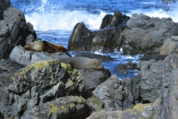 Becareful those rocks move