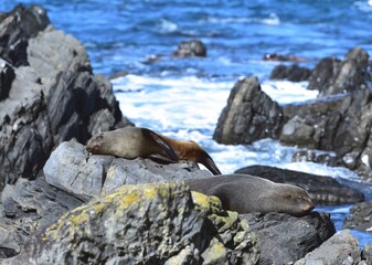 Becareful those rocks move