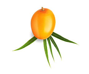 Sea buckthorn berry and green leaves isolated on white