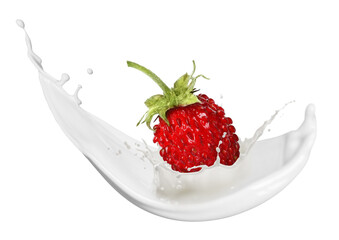 Milkshake splash and strawberry in air on white background