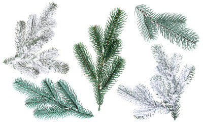 Christmas tree branches isolated on white, set