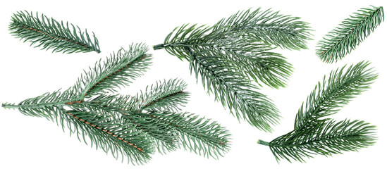 Christmas tree branches isolated on white, set