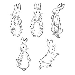 Obraz premium Peter Rabbit, set of illustrations in line art style, doodle, characters.