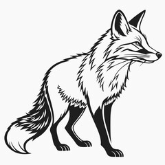 fox on white background