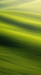 Gently undulating green hills bathed in soft sunlight, creating a tranquil and picturesque natural landscape with a serene, expansive view ,idyllic ,green ,slope