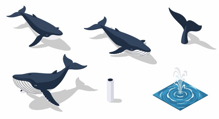 Isometric Whale Set: Various Views of Humpback or Blue Whales Swimming, Diving Tail Fluke, and Water Spout Effect Illustration.