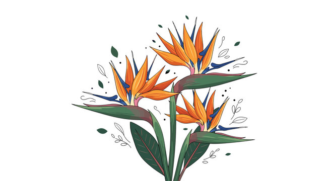 Striking bird of paradise flowers with green leaves and scattered elements.