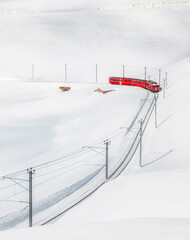 Red Express Winter Season Photo, Lago di Bianco Graubunden,  Switzerland