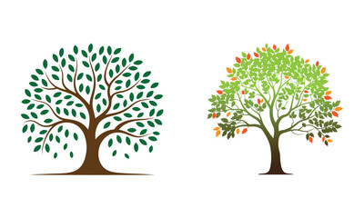 Obraz premium Two stylized trees one with lush green leaves and the other with colorful autumn foliage isolated on white background