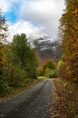 Mountain road in autumn with snowy mountain peak in background. Pyrenees mountains in southwest France