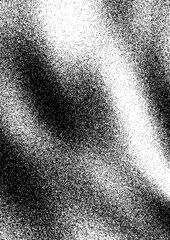 Abstract black and white design featuring contrasting patterns and textures in a dynamic composition