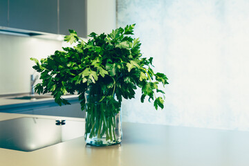 Bunch of green parsley stems arranged in transparent jar, displayed on minimal countertop in stylish kitchen interior with soft daylight filling the space from window