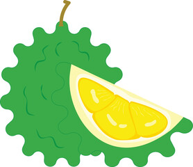 durian isolated on white background.Vector illustration cartoon