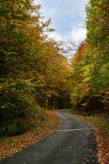 Mountain road in autumn with snowy mountain peak in background. Pyrenees mountains in southwest...