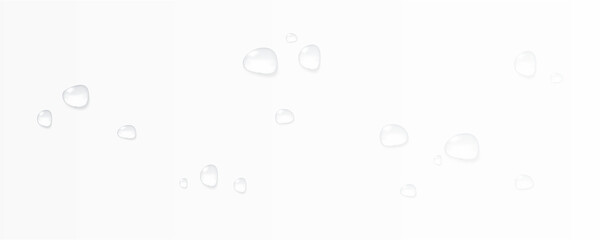 Realistic vector water drops png on a transparent light background. Water condensation on the surface with light reflection and realistic shadow. 3d vector illustration