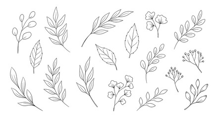 Elegant hand drawn collection of minimalist thin line sprigs, branches, leaves, and botanic elements set isolated on a white background, design vector illustration