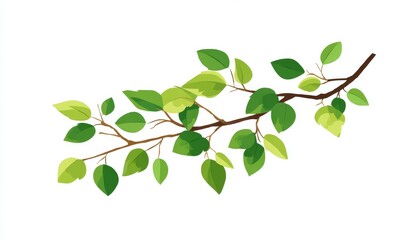 Obraz premium Vector Graphic of Tree Branch with Fresh Green Leaves, Springtime Natural Growth, Isolated on White for Illustration and Design, Foliage Symbolism.