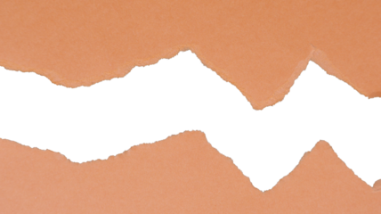 A piece of textured orange paper cut out, empty plate with copy space. Transparent center cutout. PNG.