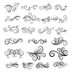 Floral Calligraphic Ornament Set. Decorative Swirl Ornament