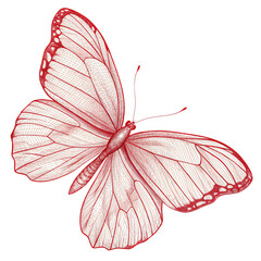 Elegant red butterfly illustration with intricate details, perfect for modern design projects, adding a touch of natural beauty and vibrant flair.