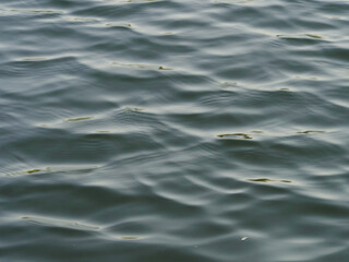 sea water background