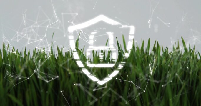 Displaying white shield with house overlaying green grass in front with glowing network connections