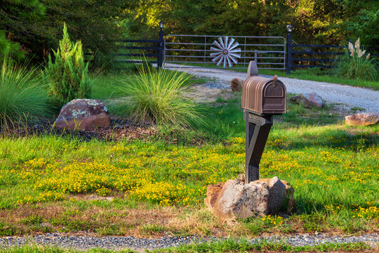 Rural Mailbox and Yellow Flowers with a Gate in the Distance