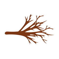 Tree Branch Twig Illustration