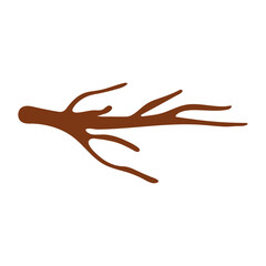 Tree Branch Twig Illustration