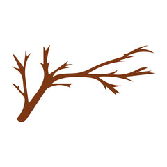 Tree Branch Twig Illustration
