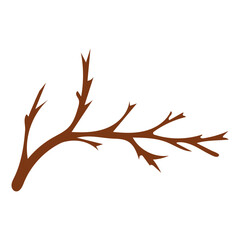 Tree Branch Twig Illustration