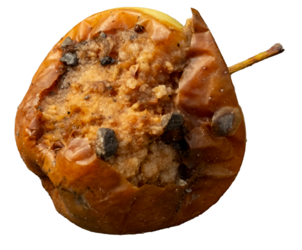 Rotten apple decomposing on dirt ground nature