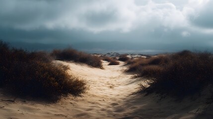 Sandy path through arid dunes with sparse shrubs under dramatic overcast skies and long shadows