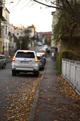city ​​autumn motif street colored leaves