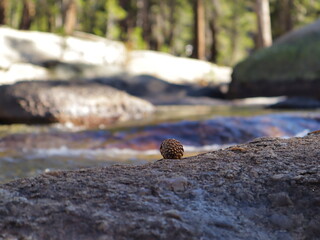 Yosemite National Park sights and landscapes.