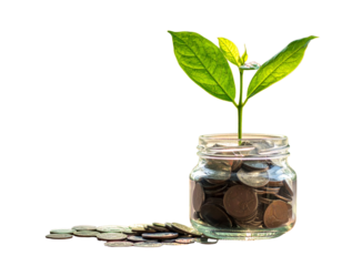 Plant Growing from Jar Filled with Coins, Concept of Financial Growth, Isolated on Transparent Background