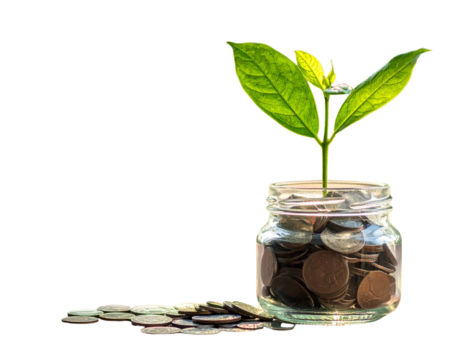 Plant Growing from Jar Filled with Coins, Concept of Financial Growth, Isolated on Transparent Background