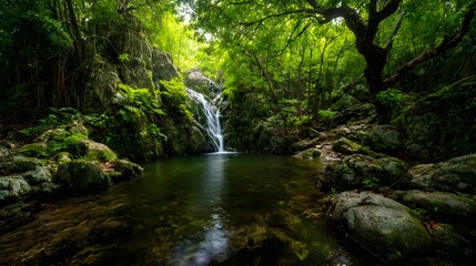 Obraz premium Lush dense rainforest features a cascading waterfall plunging into a tranquil pool surrounded by mossy rocks and vibrant green foliage
