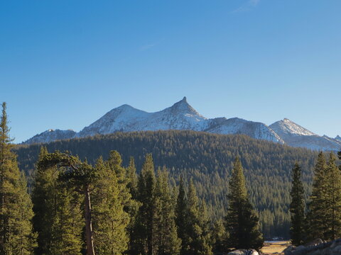 Yosemite National Park sights and landscapes. - Powered by Adobe