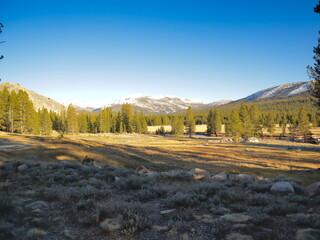 Yosemite National Park sights and landscapes.