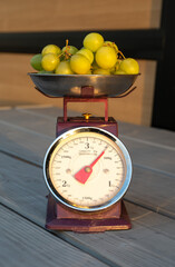 Bunch of white ripe Italian grapes on a kitchen scale