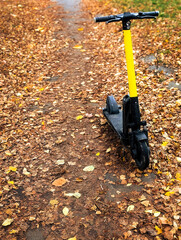 electric kick scooter on a park path covered with fallen autumn leaves